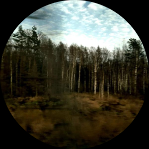 artem_pogodin