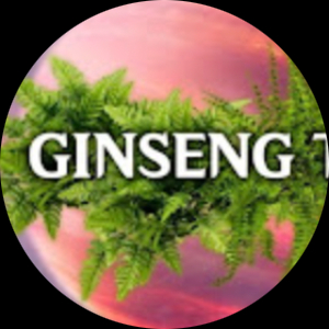 ginsengkesell